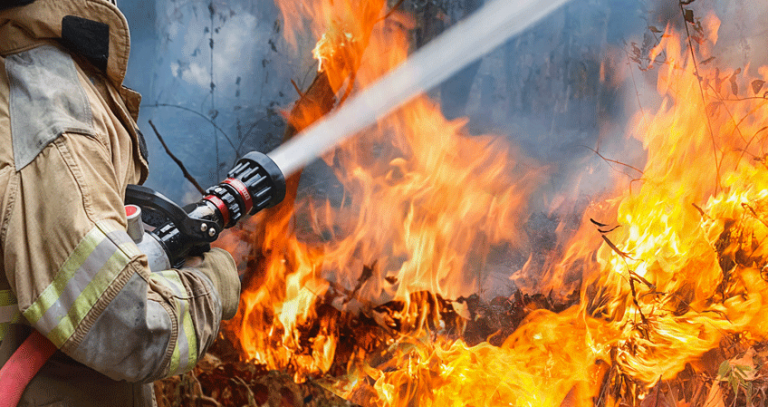 Oposiciones Para Bombero, Todo Lo Que Necesitas Saber ...